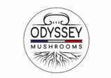 logo Odyssey Mushrooms