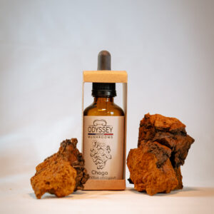 extrait liquide de chaga odyssey mushrooms