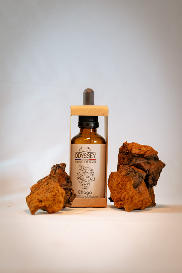 extrait liquide de chaga odyssey mushrooms